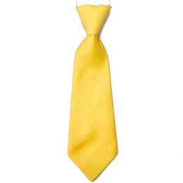 Boys Yellow Plain Satin Tie on Elastic